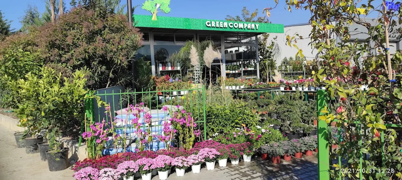 Nuk e mendoja kurrë se do të kisha një dyqan lulesh të preferuar