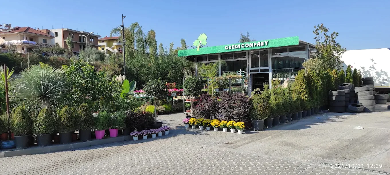 Nuk e mendoja kurrë se do të kisha një dyqan lulesh të preferuar