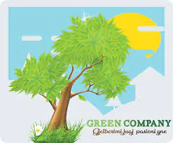 Super dyqan Lulesh me pelqen pa mase si vend dhe cmimet jane shume shume te mira. Stafi eshte shu...